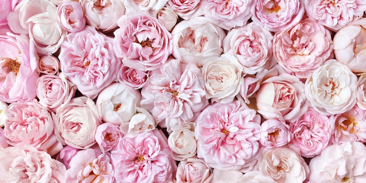 Spring Skincare: 5 Tips for Taking Care of Your Skin in Spring - LUNA MICROCARE®