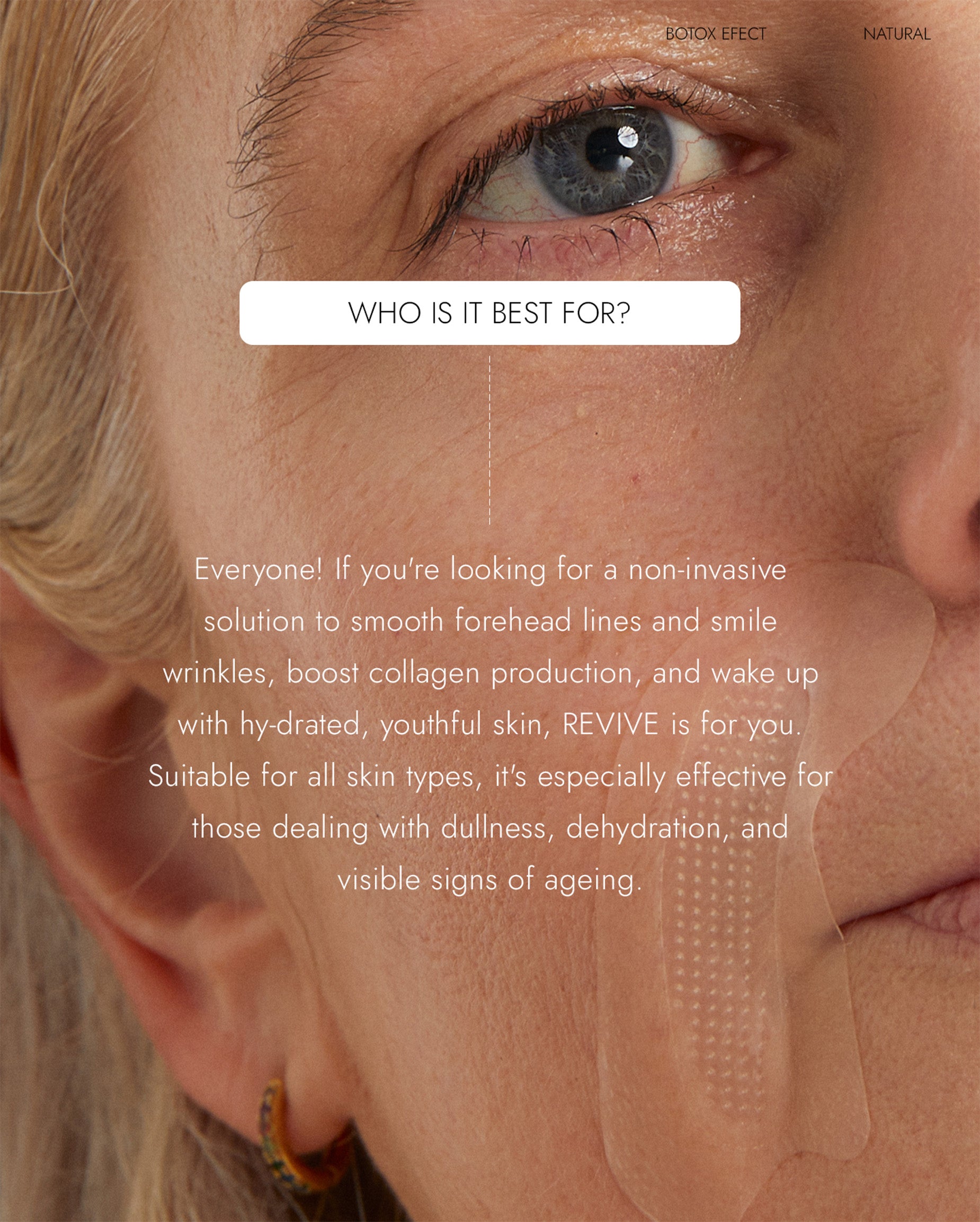 Web Image