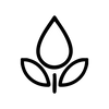 Icon 3