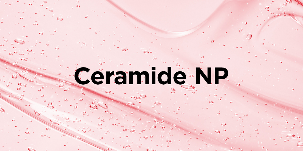 Ingredient Spotlight: Ceramide NP