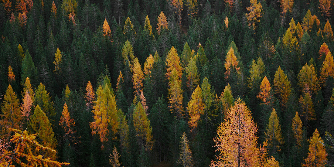 Autumn Skincare: What to Use and Why